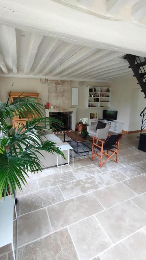 Chateau Des Nouies Villa Selles-sur-Cher Exterior foto