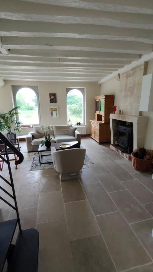 Chateau Des Nouies Villa Selles-sur-Cher Exterior foto